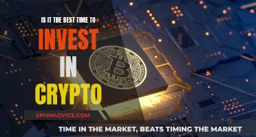 The Future of Crypto: Invest Now or Later?