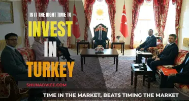 Turkey: Invest Now or Later?