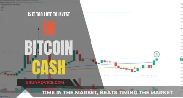 Bitcoin Cash: Late Investment, Late Regret?