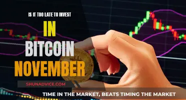 Bitcoin Investment: Is It Too Late to Enter in November?