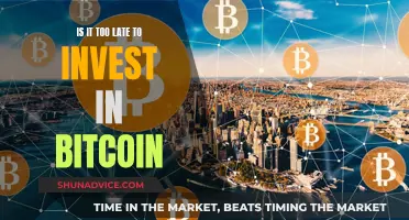 Bitcoin Investment: Is the Crypto Bandwagon Still Accessible?