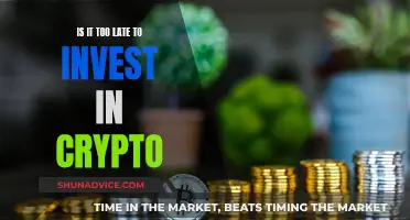 Crypto Investment: Late Entry, Missed Opportunities, or Wise Move?