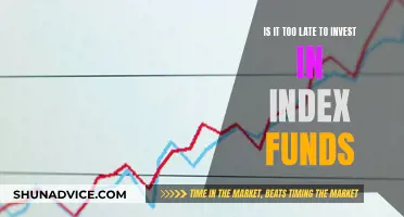 Index Funds: Invest Now or Miss Out?