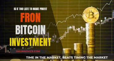 Bitcoin Investment: Late to the Party or Still Profitable?