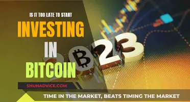 Bitcoin Investment: Late Starter or Missed the Boat?