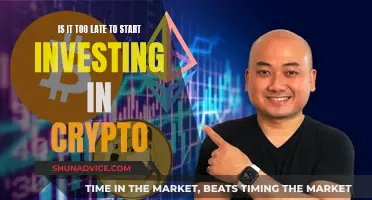 Crypto Investing: Late Start, Wise Decisions, Big Profits?