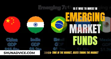 Emerging Market Funds: Worth the Investment Risk?