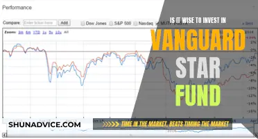 Vanguard Star Fund: Smart Investment Strategy or Risky Move?