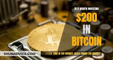 Small Bitcoin Investment: Worth the Risk?