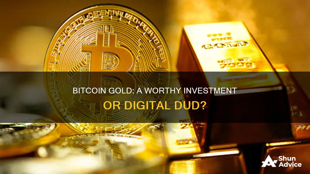 is it worth investing in bitcoin gold