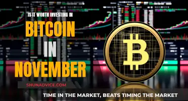 Bitcoin in November: Worth the Investment Risk?