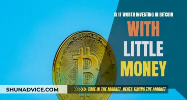 Little Money, Big Risk: Is Bitcoin Worth the Gamble?