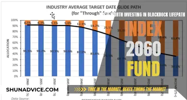 BlackRock LifePath Index 2060 Fund: A Smart Investment Move?