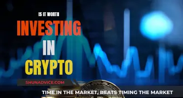 Crypto Investment: Worth the Risk?