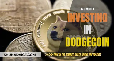 Dogecoin Investment: Worth the Risk?