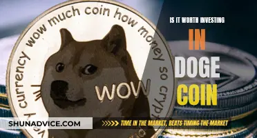 Doge Coin: Worth the Investment Risk?