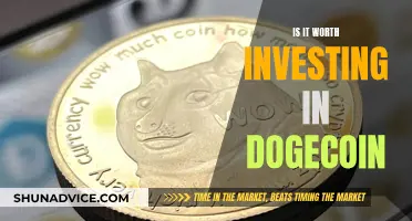 Dogecoin Investment: Worth the Risk?