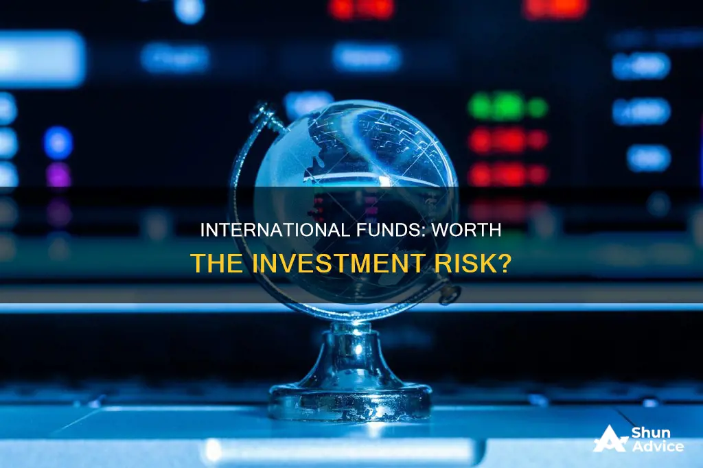 is it worth investing in international funds