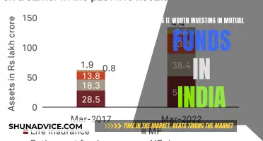 Mutual Funds in India: Worth the Investment?