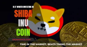 Shiba Inu Coin: Worth the Investment Risk?