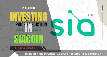 Siacoin: A Worthy Investment or a Waste of Money?