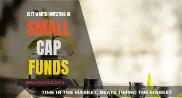 Small-Cap Funds: Worth the Investment Risk?