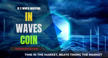 Waves Coin: A Smart Investment Move?