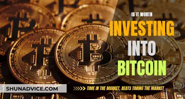 Bitcoin Investment: Worth the Risk?