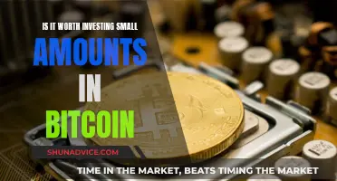 Small Bitcoin Investments: Worth the Risk?