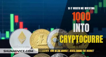 Investing $1000 in Crypto: Is It Worth the Risk?