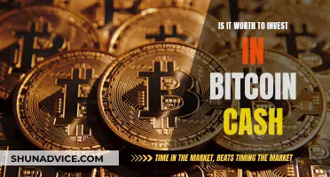 Bitcoin Cash: Worthy Investment or Risky Business?