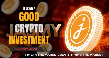 Jasmy Crypto Investment: Worthy or Risky Venture?