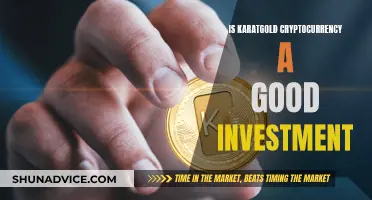 Karatgold Crypto: Smart Investment or Risky Business?