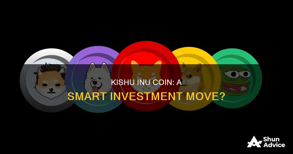 is kishu inu coin a good investment