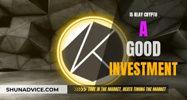 Klay Crypto: Worthy Investment or Risky Business?