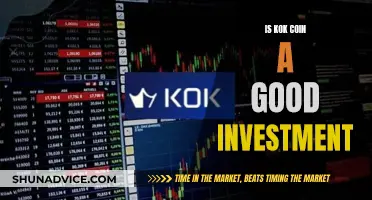 Kok Coin: A Smart Investment Decision?