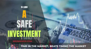 Is Labu a Safe Investment? Unveiling the Risks and Rewards