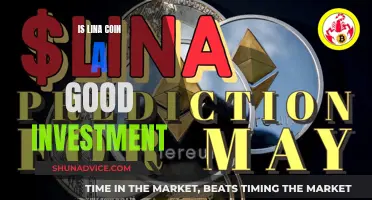 Lina Coin: Is It a Smart Investment Decision?