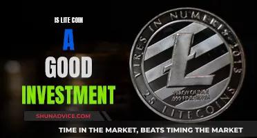 Lite Coin: Worthy Investment or Risky Business?