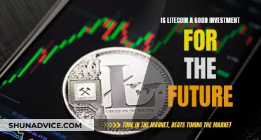 Litecoin: A Smart Investment for the Future?