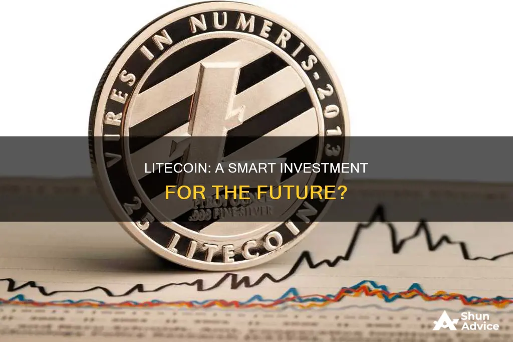 is litecoin a good investment for the future