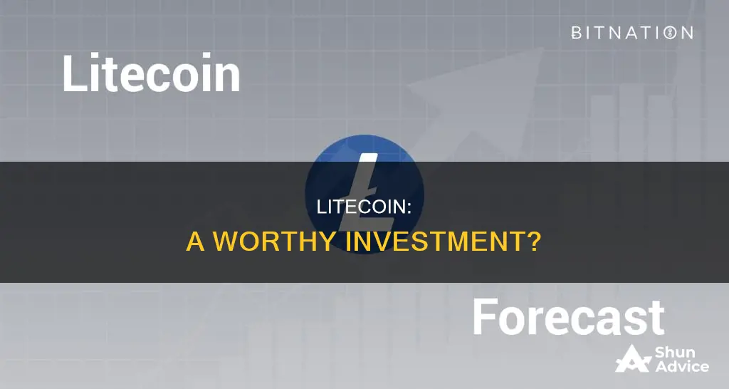 is litecoint worth investing