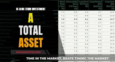 Maximizing Long-Term Investments: Total Asset Potential Revealed