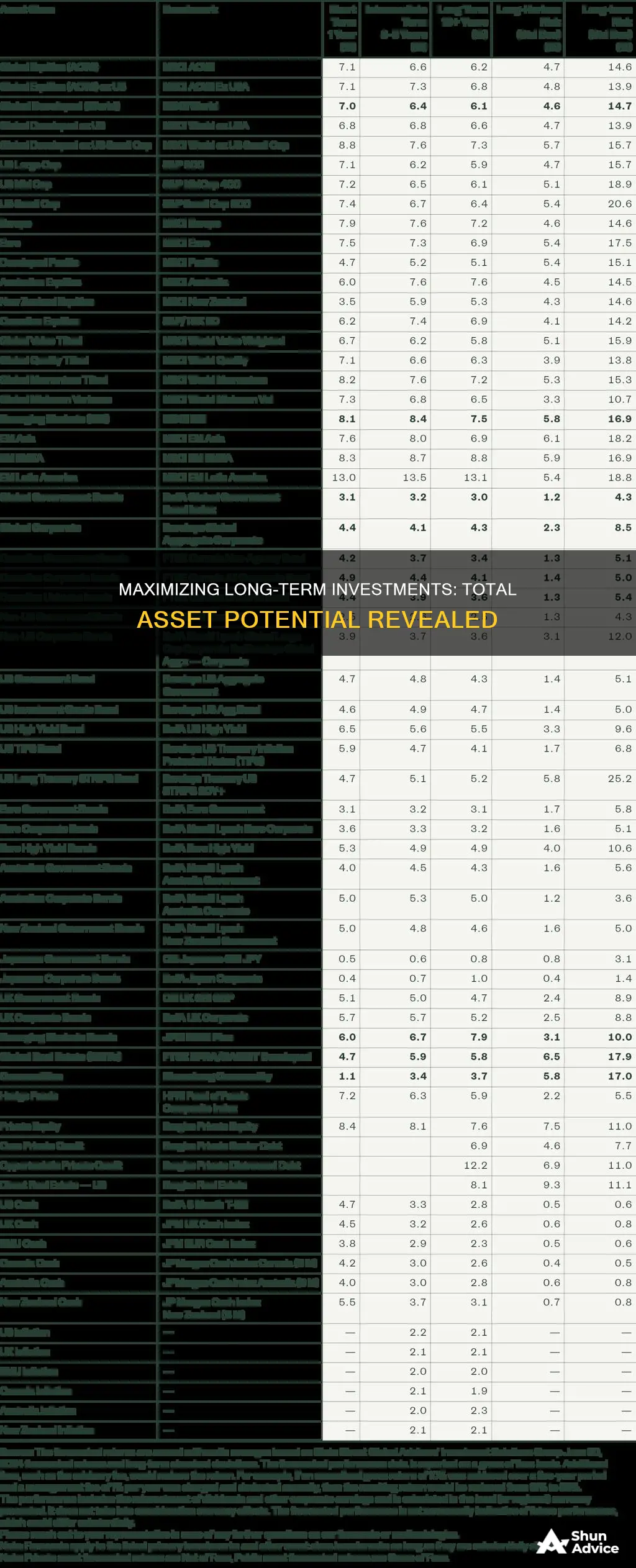 is long term investment a total asset