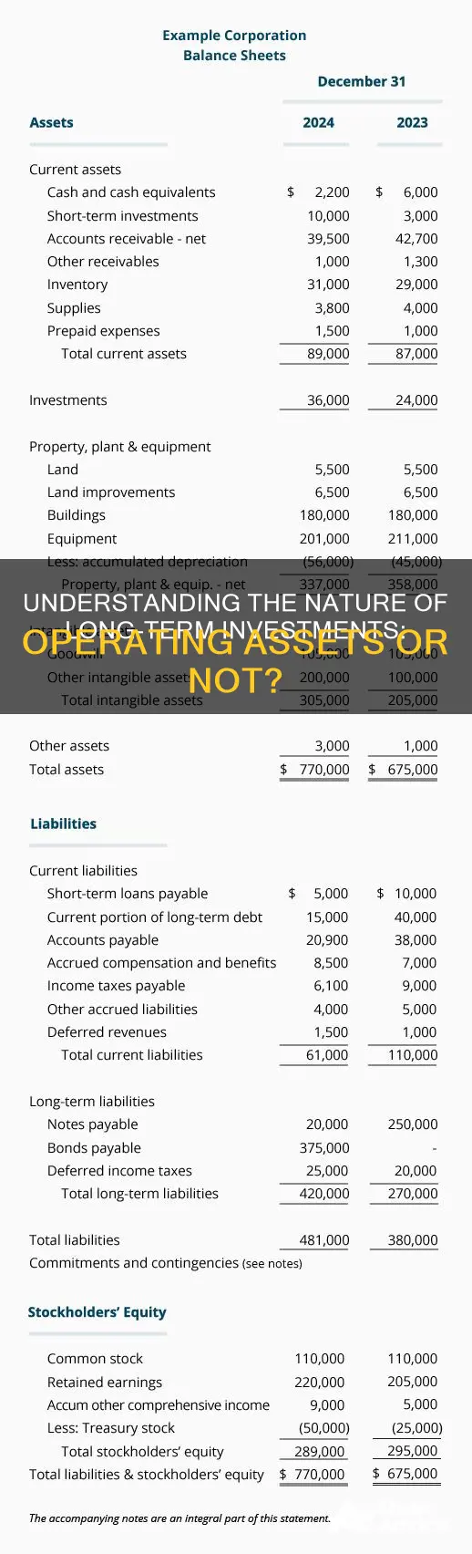 is long term investment an operating asset