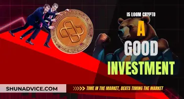 Loom Crypto: A Smart Investment Decision?