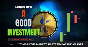 Loopring Crypto: Smart Investment or Risky Gamble?