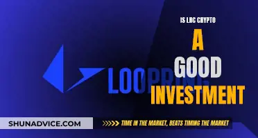 LRC Crypto: Smart Investment or Risky Gamble?