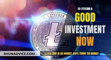 Lytecoin: A Smart Investment Move Now?