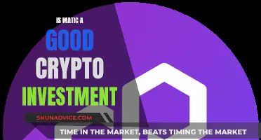 Matic Crypto Investment: Worthwhile or Worthless?